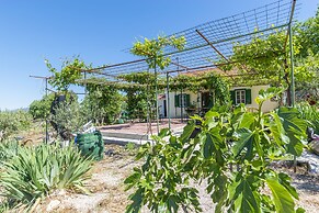 House Green Paradise