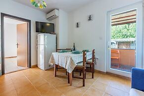 Apartments Davor