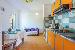 Apartments Davor