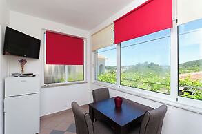 Apartments Darko