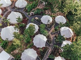 Roost Glamping