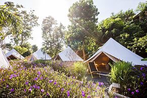 Roost Glamping