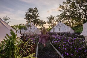 Roost Glamping