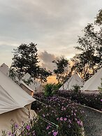 Roost Glamping