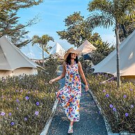 Roost Glamping