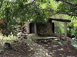 Aqua Ceiba