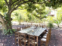 Aqua Ceiba