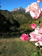 Agriturismo Summer