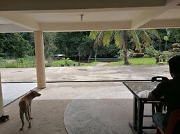 Mulu Diana Homestay