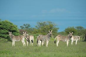 Safarihoek