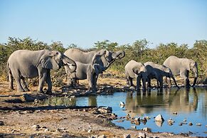 Safarihoek