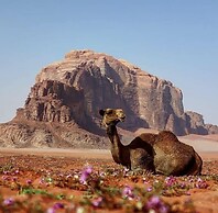 Um Al Tawaqi