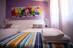 B&B Trepo