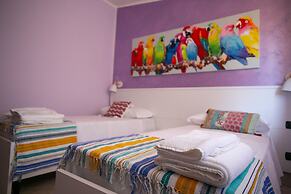 B&B Trepo