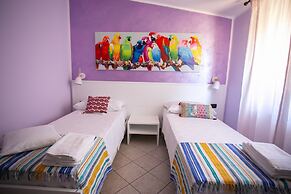 B&B Trepo