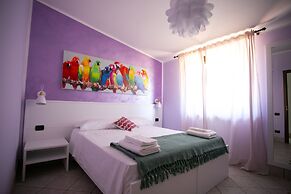 B&B Trepo