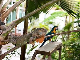 Perla Dhangethi