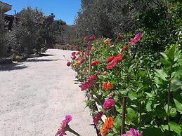 Domu de Palla