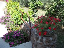 Domu de Palla