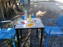 D&B Bluestar Beach Resort