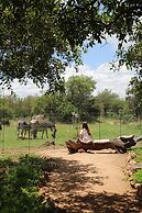 Golden Impalas Bush Resort