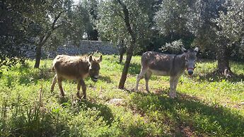 Agriturismo Specchiarussa