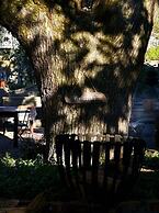 Old Oak Manor