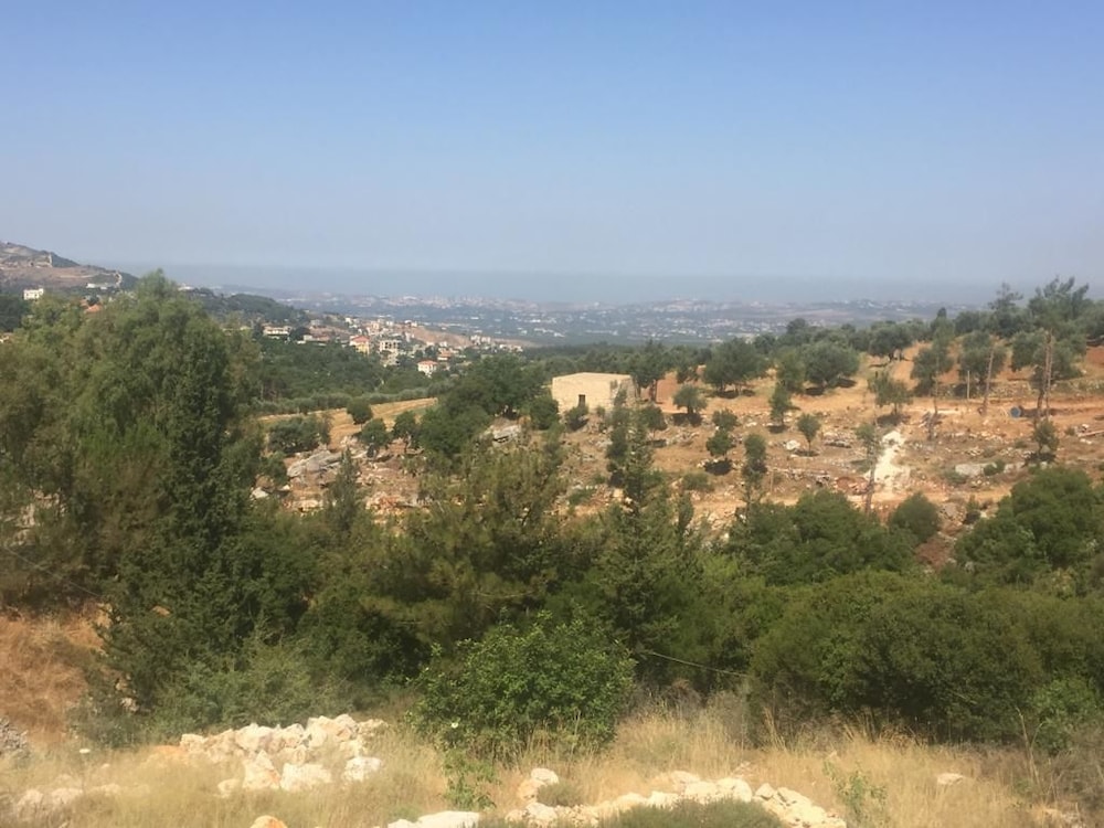 Ahla Vert View