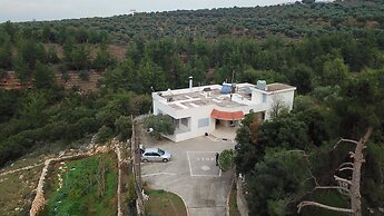 Ahla Vert View