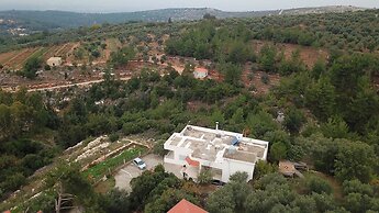Ahla Vert View