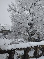 L' Arche d' Yvann
