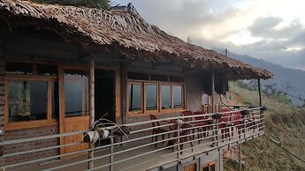 Thanh Homestay