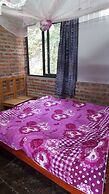 Thanh Homestay