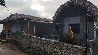 Thanh Homestay