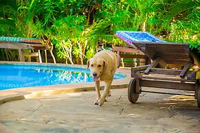 Villakwetu Cottages Diani Beach
