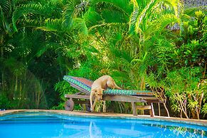 Villakwetu Cottages Diani Beach