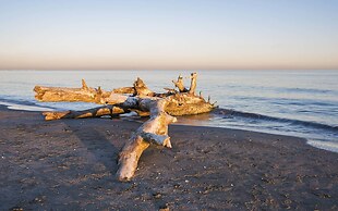Camping Bar Horizon