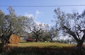 B&B Villa Lucia
