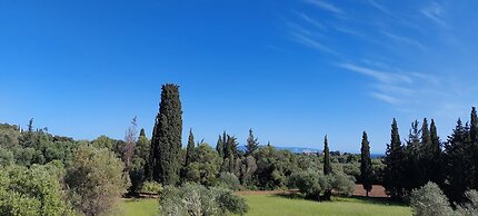 Villa Elaionas 1
