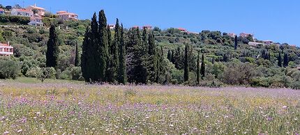 Villa Elaionas 1