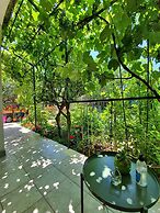 Apartment Pavica