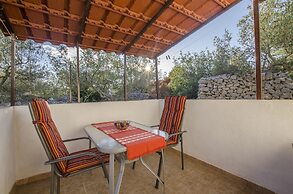 Apartments Oliva