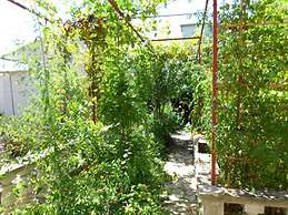 Apartments Miodrag