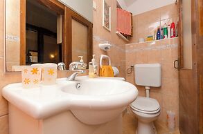 Apartments Dorde
