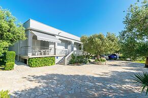 Apartments Anka