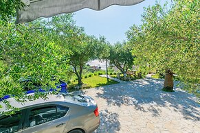 Apartments Anka