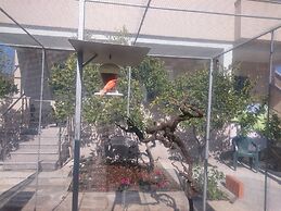 Apartment Canaria