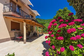 Apartments Branka