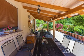 Apartments Branka