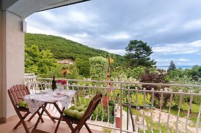 Apartments Branka